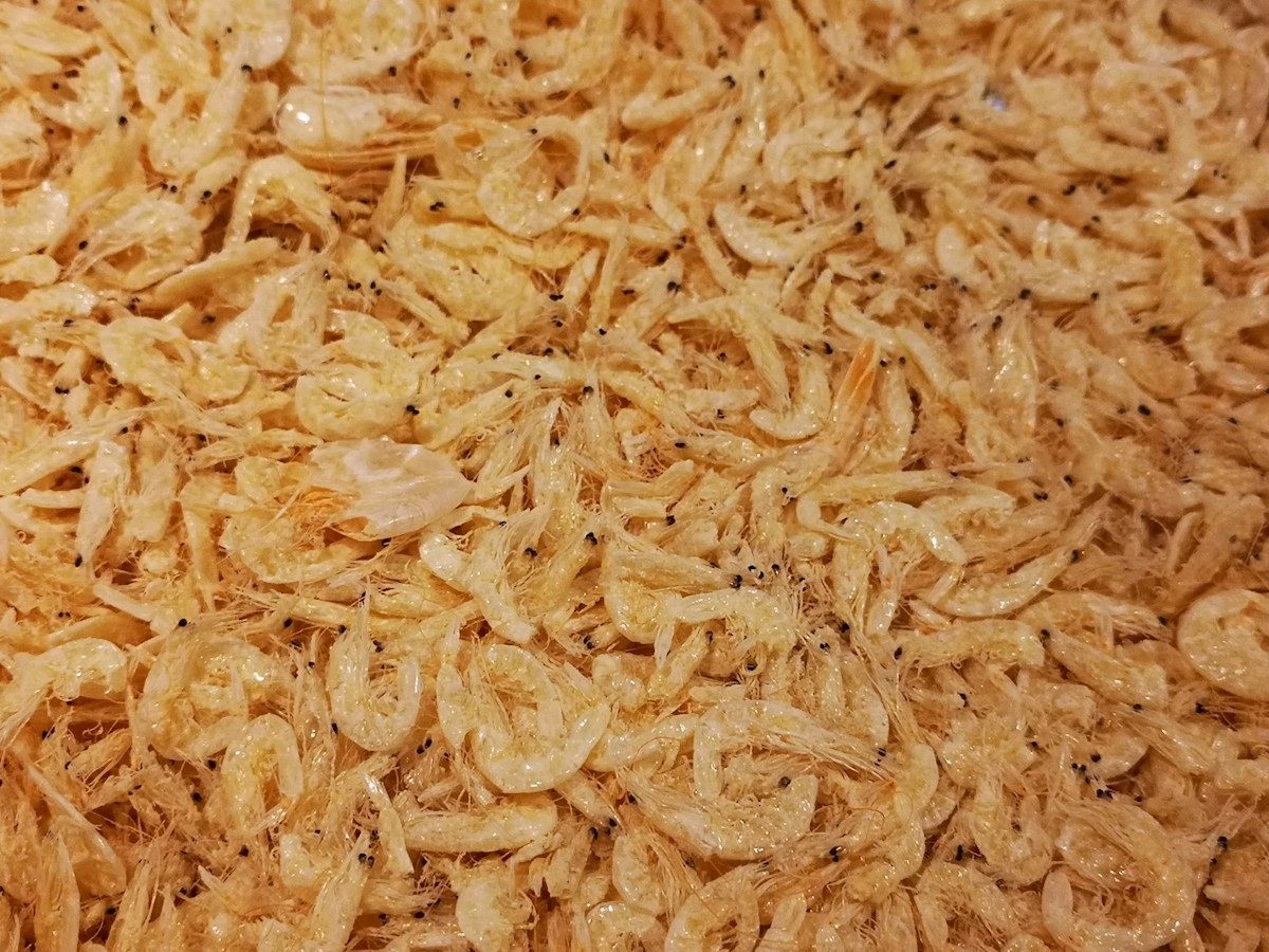 Crevettes séchées en vrac, roses et orangées