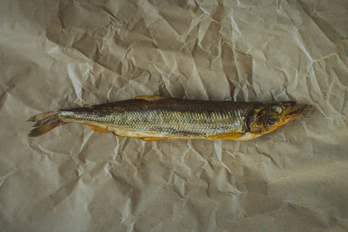Poisson fumé entier, doré et sec, posé sur un papier froissé