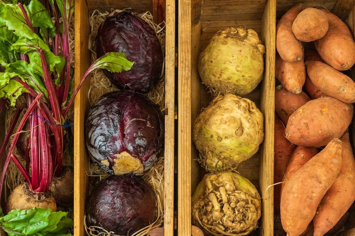 Caisses en bois remplies de betteraves, de choux rouges, de céleris et de patates douces