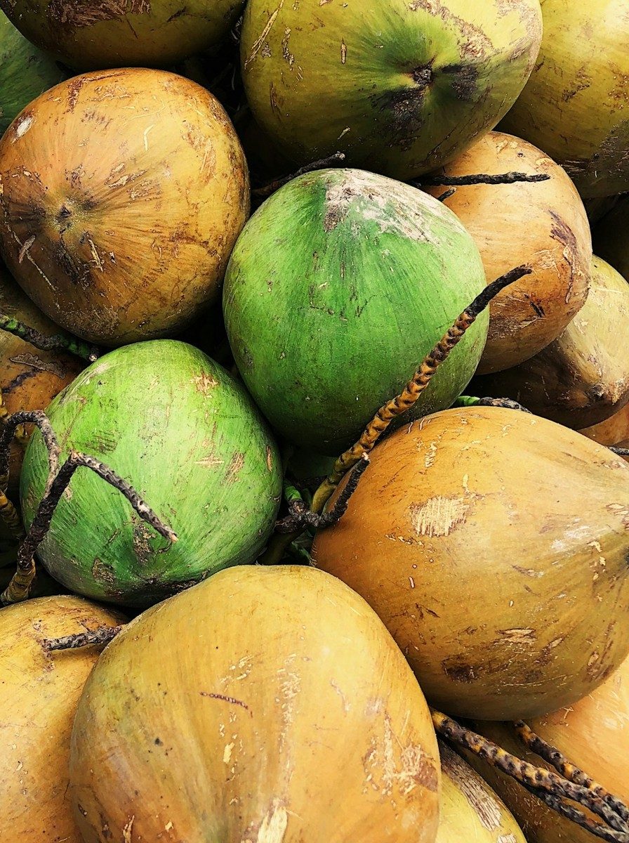 Noix de coco vertes et jaunes posées en tas sur une table