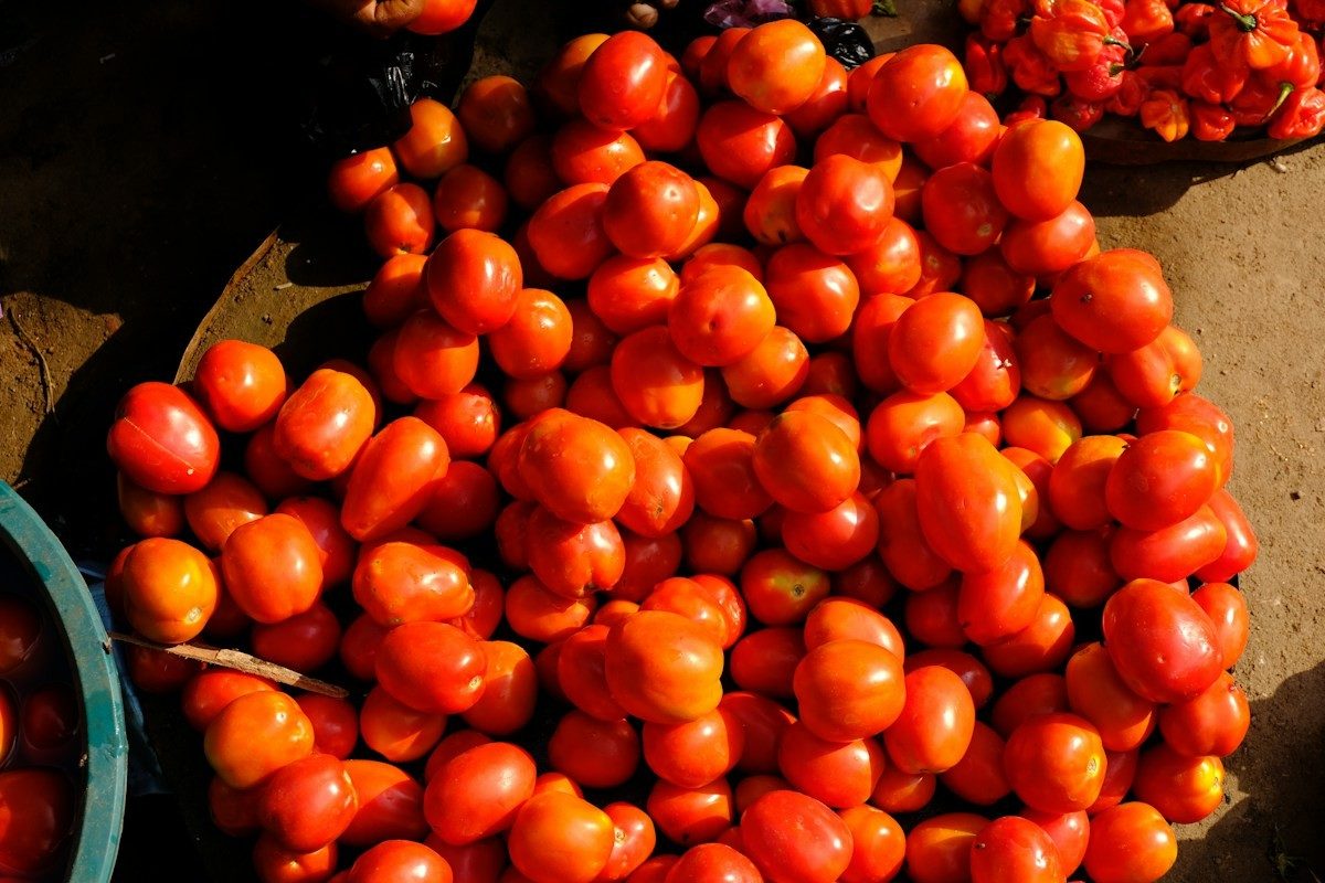 Tomates rouges serrées sur un plateau noir