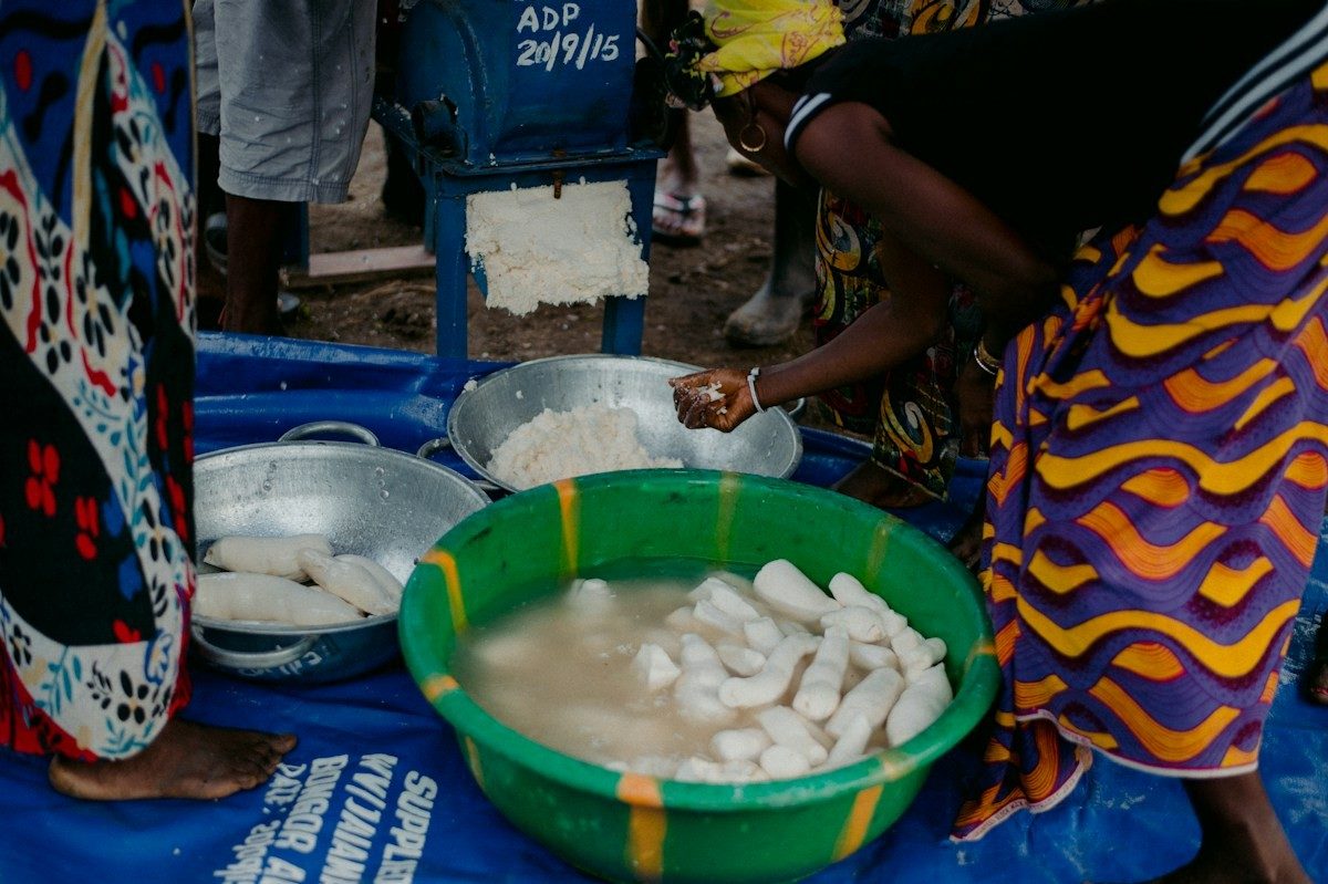 Morceaux de manioc épluchés qui trempent dans une bassine d'eau
