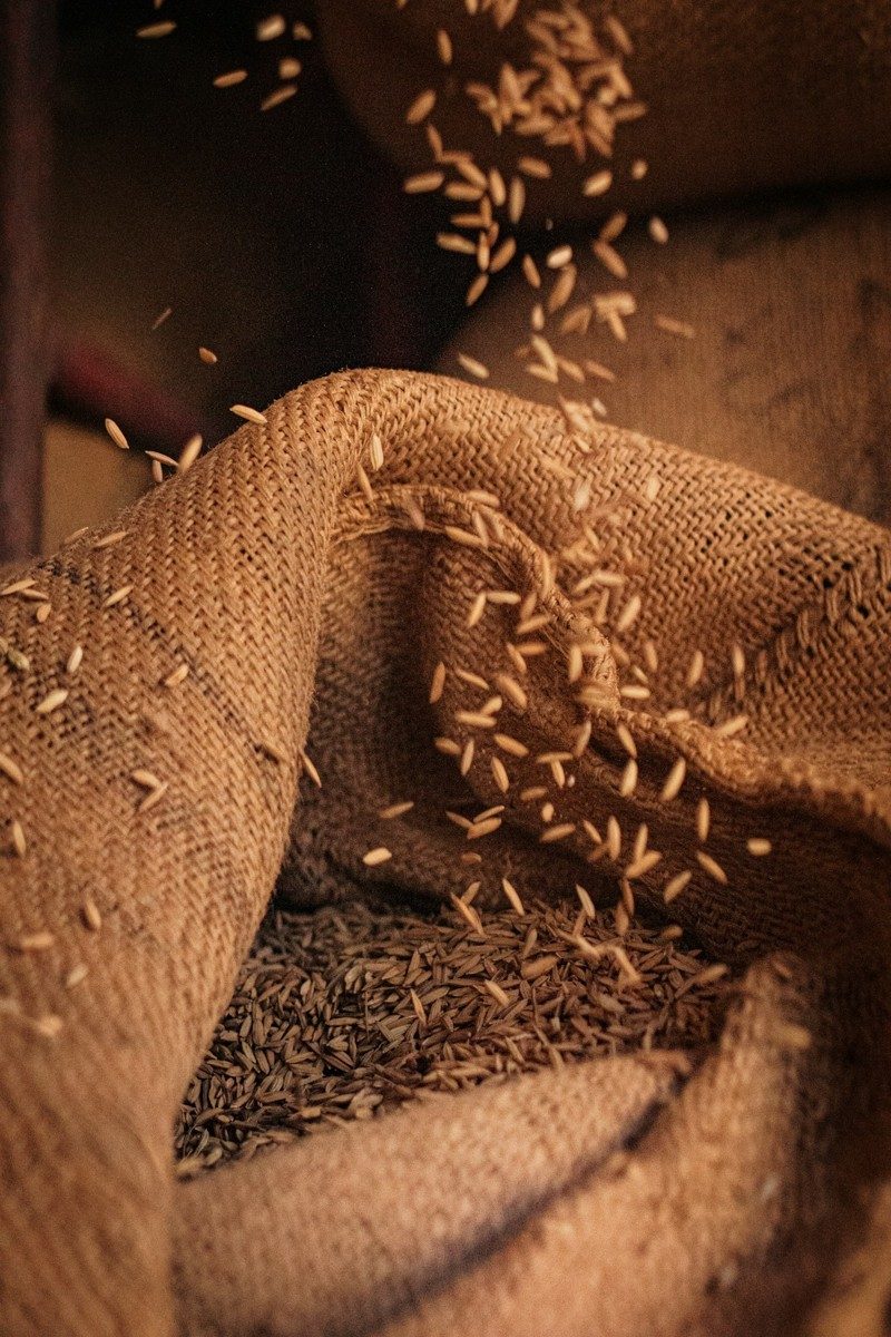Grains versés d'un sac de jute ouvert