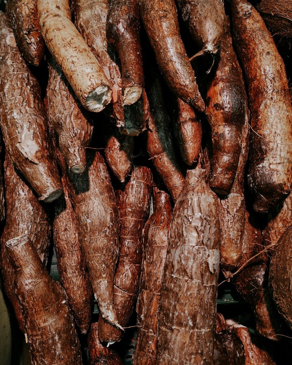 Racines de manioc brunes empilées, vues du dessus